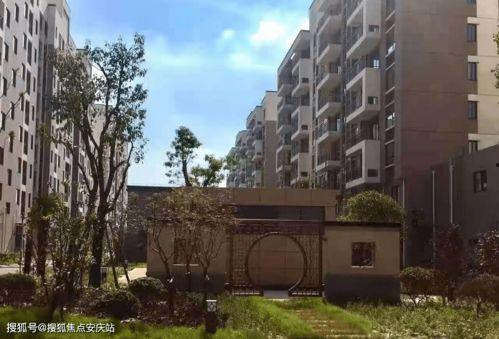 西安双竹村最新爆料电话,电话揭露惊人内幕